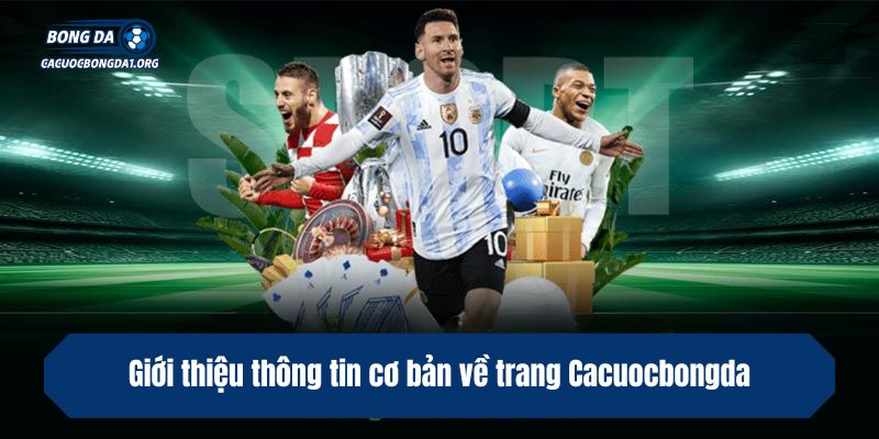 Giới thiệu thông tin cơ bản về trang Cacuocbongda